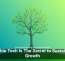 Scalable Tech Is The Secret to Sustainable Growth